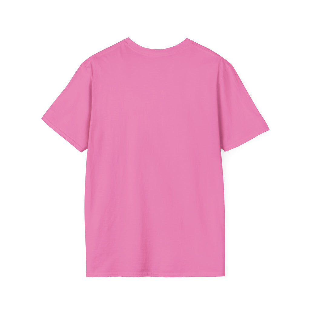 Diamond Days Softball T-Shirt — Vintage Sunset Pitcher Tee