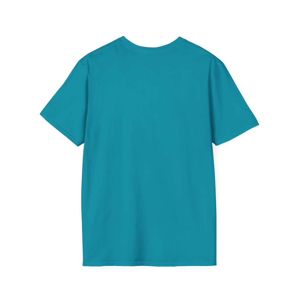 Diamond Days Softball T-Shirt — Vintage Sunset Pitcher Tee