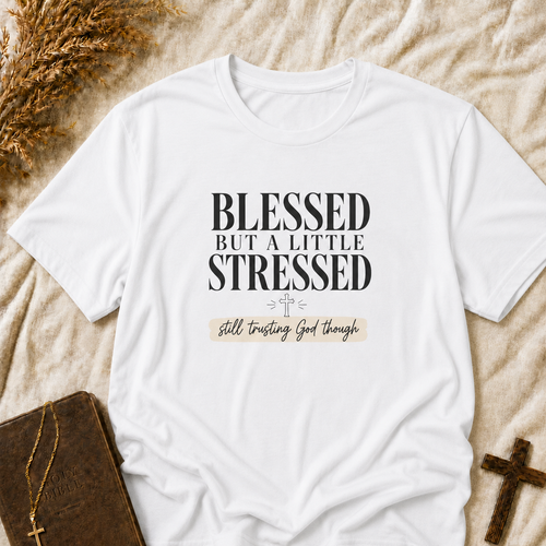 Blessed But A Little Stressed Tee — Faith-Inspired Casual Shirt