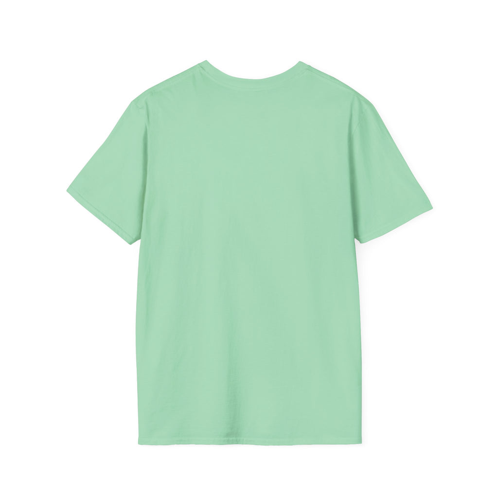 Diamond Days Softball T-Shirt — Vintage Sunset Pitcher Tee